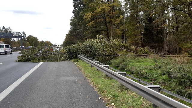 20211021_120324_resized groß.jpg